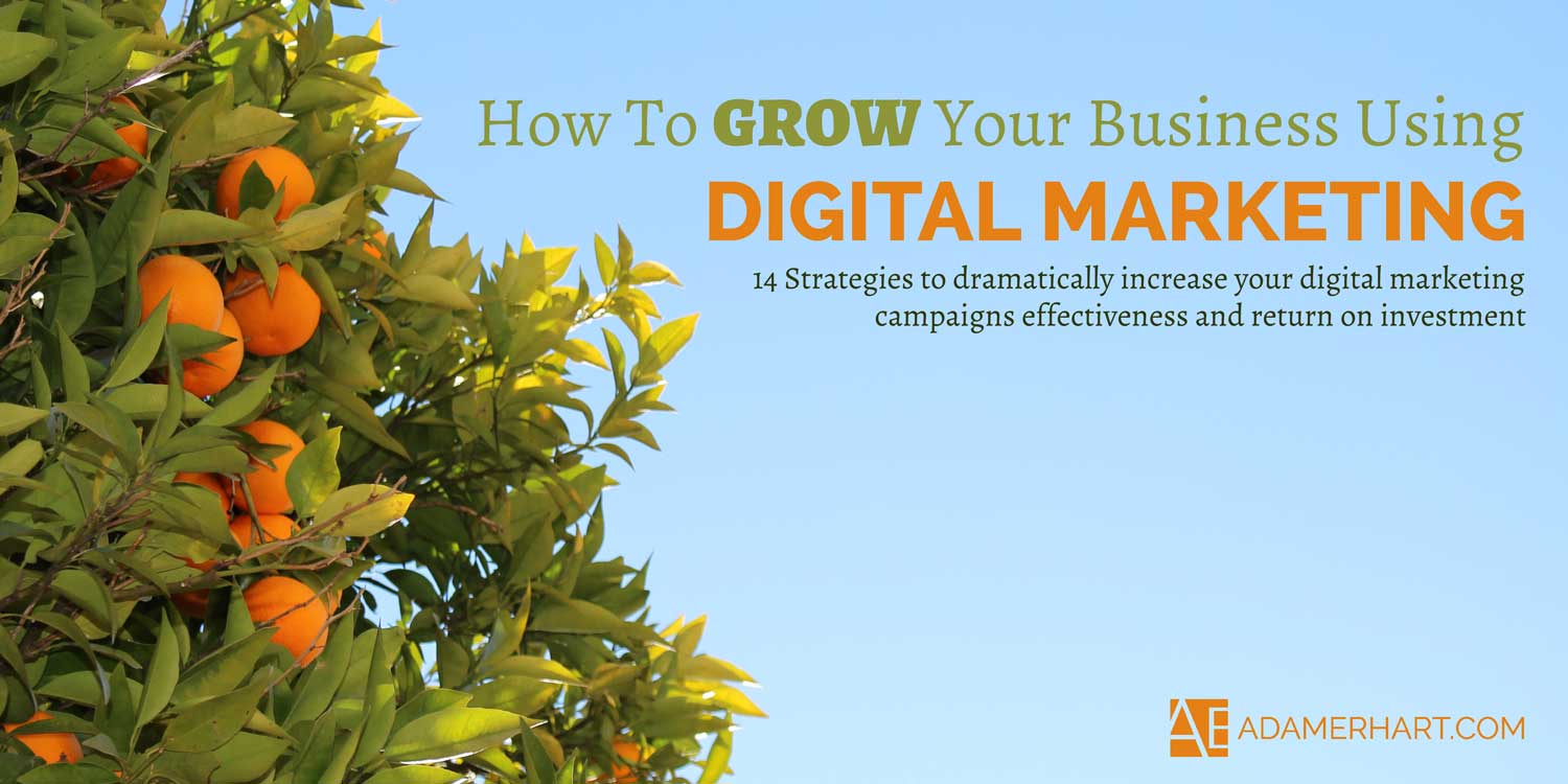 how-to-grow-your-business-using-digital-marketing-2